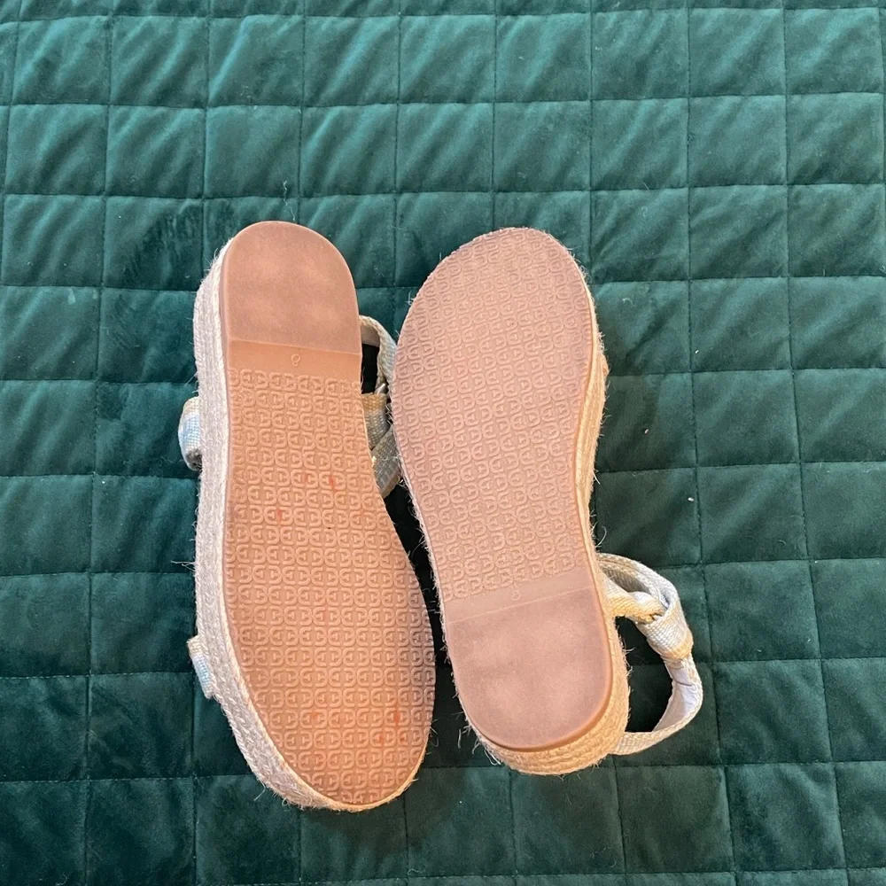 Sam Edelman Blue and Tan Platform sandals